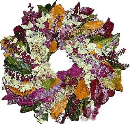 Ef-Euca Wreath Preserved Wreaths 17 inches and 24 inches Size Capture A Reflection of Nature