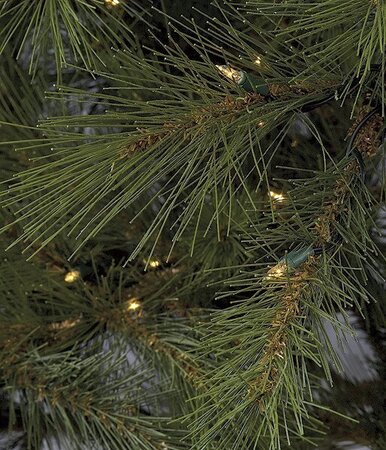8.5 feet Japanese Red Pine Christmas Tree - Medium Size - 300 Clear Lights