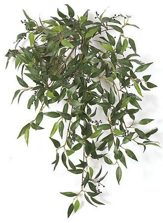 30 inches Hanging Smilax Bush - 355 Green Leaves - 18 inches Width