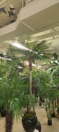 8.5 feet Phoenix Palm - Synthetic Trunk - 30 Fronds - Green - Bare Trunk- Outdoor
