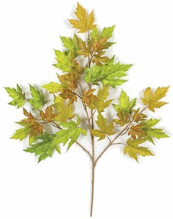 28 inches Rock Maple Branch - 32 Leaves - Green/Rust - FIRE RETARDANT Dozen