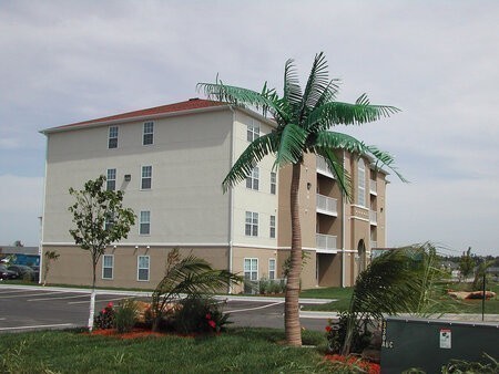 CP-1001 Custom Made Caribbean Palm Tree