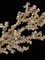 29 inches Plastic Glittered Ice Spray - 13.5 inches Stem - White/Gold