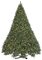 12 Foot Tall  Maritime Pine Christmas Tree - Full Size - 2,000 Warm White 5mm LED Lights