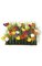 10 inches Plastic Grass with Fabric Crocus - 3 inches Height - Mixed Colors
