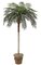 8.5 feet Phoenix Palm - Synthetic Trunk - 30 Fronds - Green - Bare Trunk- Outdoor
