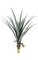 29 inches Plastic Agave Dracaena Plant - 21 Green/Blue - 3 inches Stem - Bare Stem