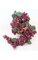 Plastic Grape Cluster - 200 Grapes - 20 inches Length - Wine/Muscat