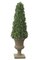 53 inches Ming Aralia Cone Topiary - Natural Trunk - Green - Weighted Base