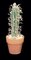 10 inches Saguaro Cactus-Artificial-Fake