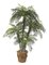 8.5 Foot Phoenix Palm Tree Set