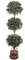 EF-1895 84 inch Ficus Triple Ball Topiary with Natural trunk