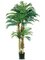 EF-801  6 feet 4 feet 2 feet Phoenix Palm Tree in Round Pot Green (Price is for a 2pc set)