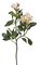 EF-2936 25 inches Rhododendron Spray (Price is for 1 Dozen)