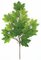 33 inches Sugar Maple Branch - 18 Leaves - Light Green - FIRE RETARDANT