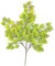 27 inches Cottonwood Branch (Aspen) - Green/Yellow - FIRE RETARDANT