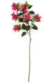 45 inches Outdoor Bougainvillea Stem - 6 Flowers - 25 inches Stem