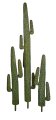 Green Saguaro Cactus | 51 Inches, 58 Inches Or 8 feet Tall