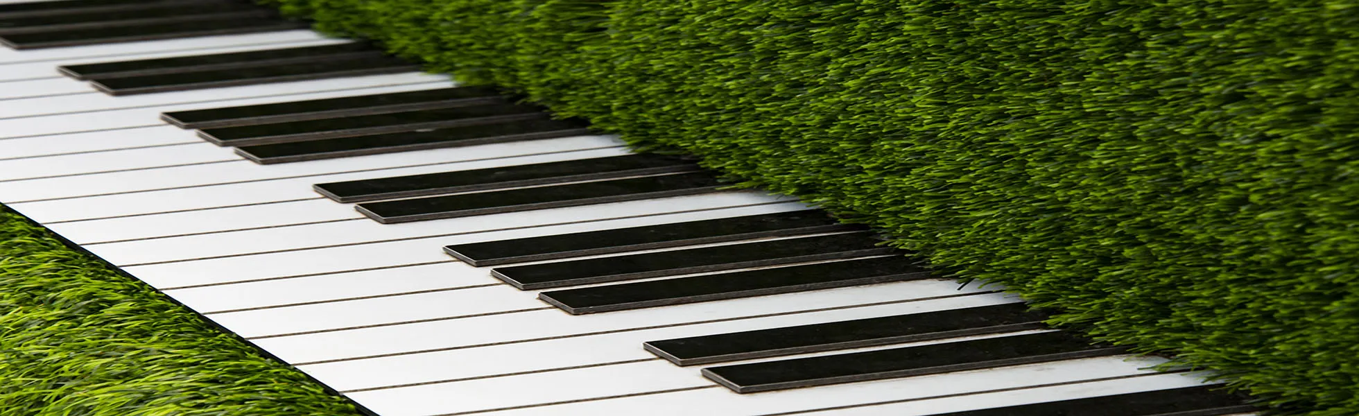 Explore our various grasses, and wall mats