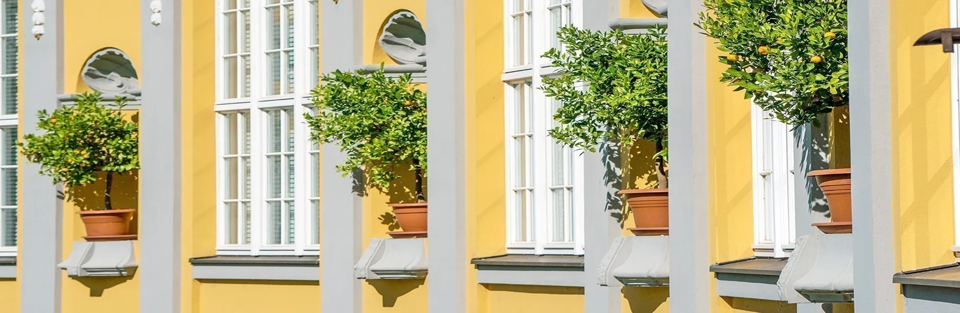 Trees banners