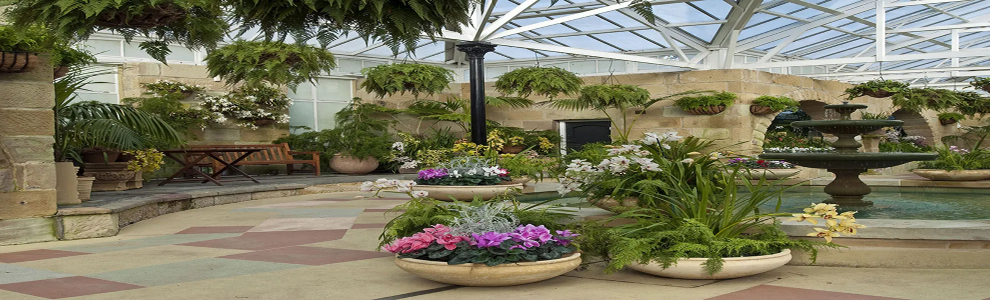 Greenery plants Banner Small