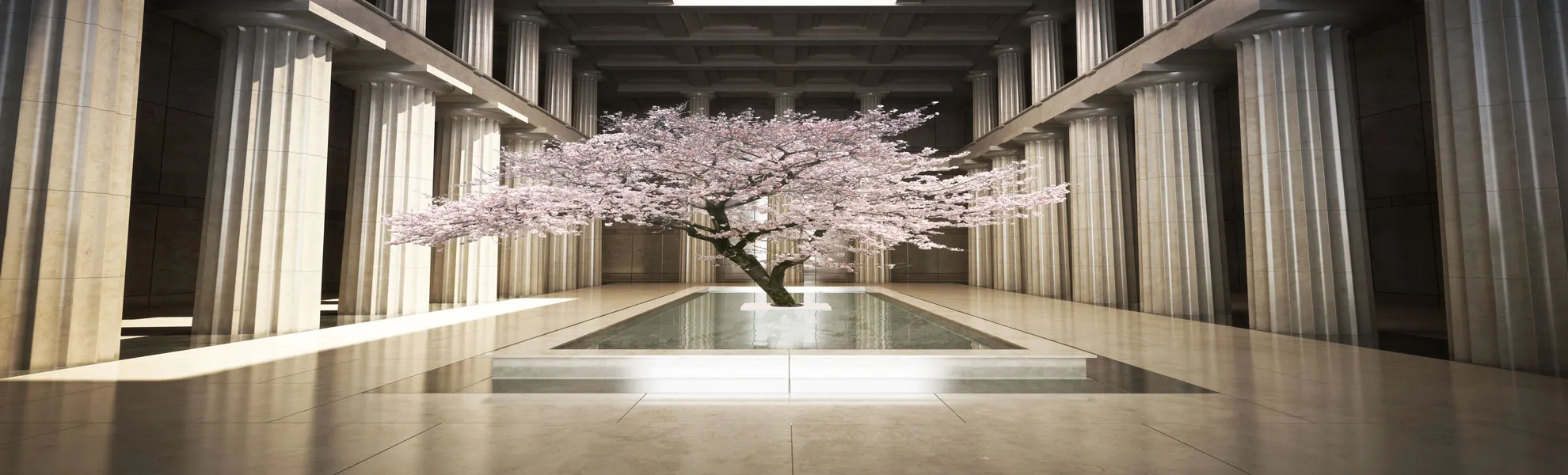 Shop Our Exquisite Trees, Topiary & Bonsai
