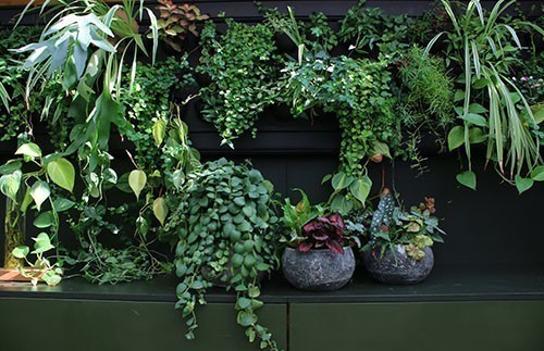 Lush Faux Greenery And Decor