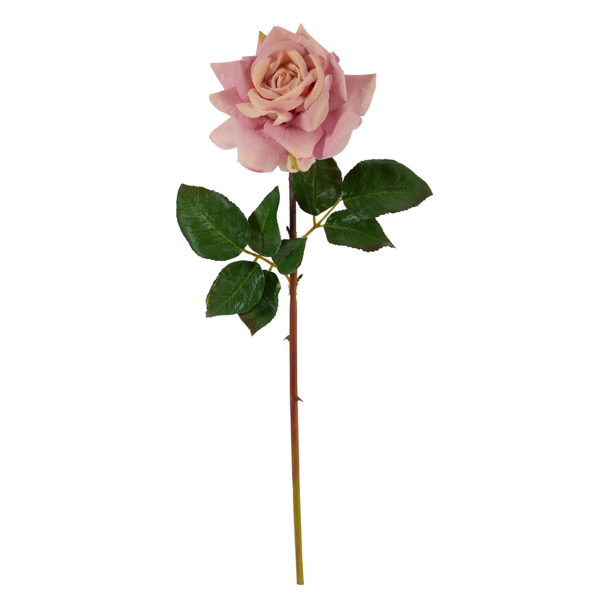 Earthflora > Faux Elegant Flowering Stems > 20 Rose Artificial Flower (Set  of 6)