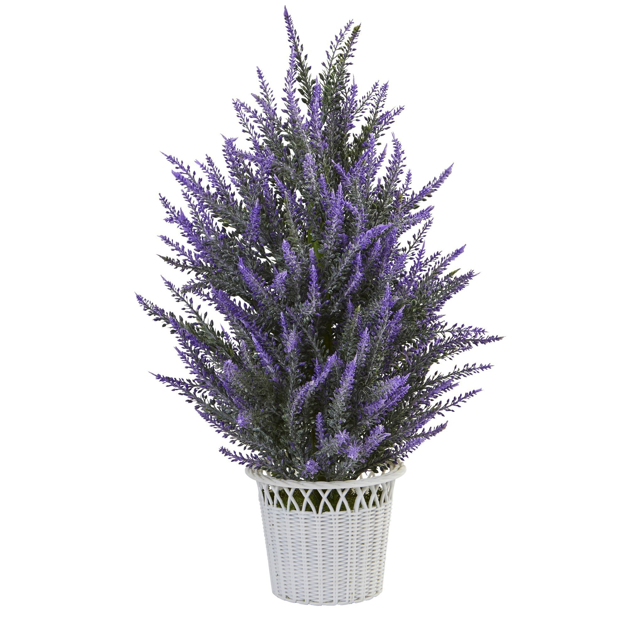 buy large zz plant online ZZ Plant - Large (2-3' tall) Cement Grey Planter main image 0