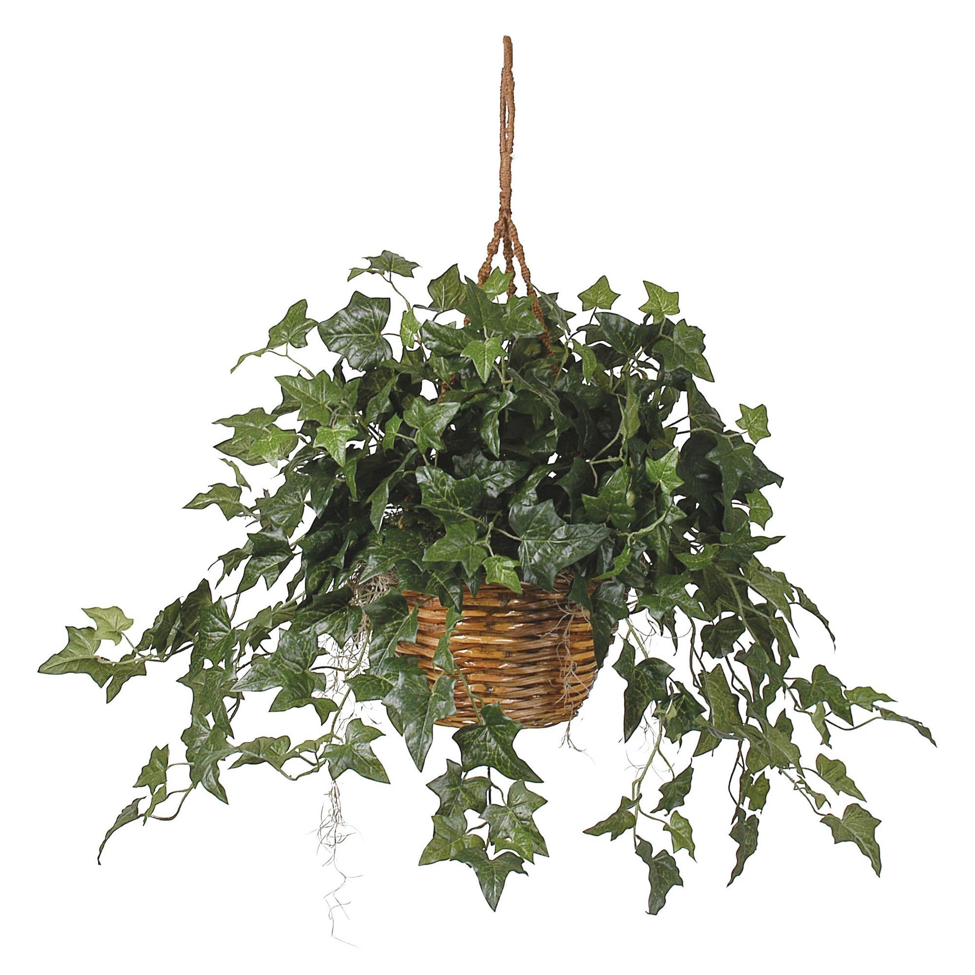 Earthflora > Hanging Silk Plants > English Ivy Hanging Basket Silk Plant