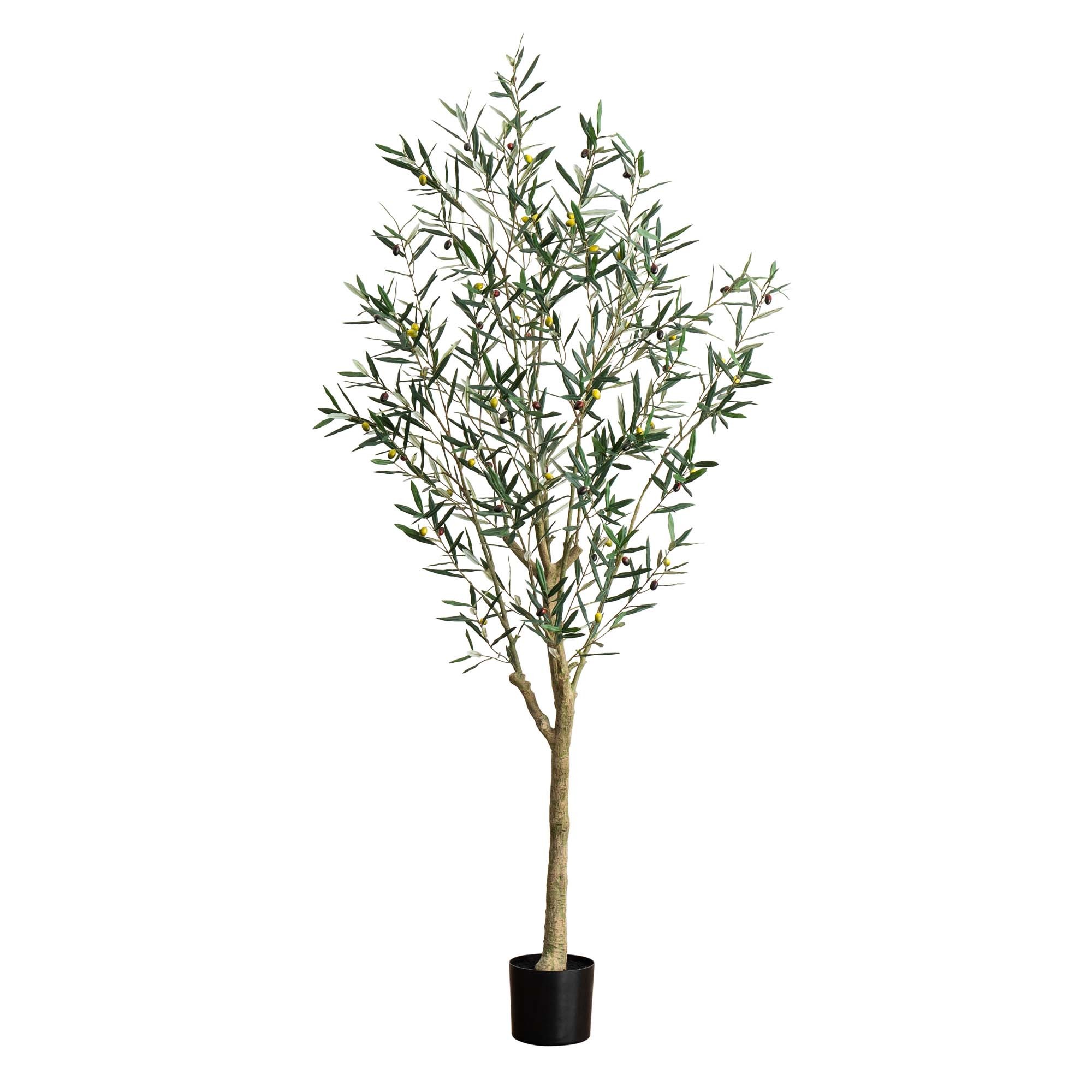 Earthflora > Euro Collection Olive & Fig Artificial Trees > 7' Artificial Mediterranean Olive Tree