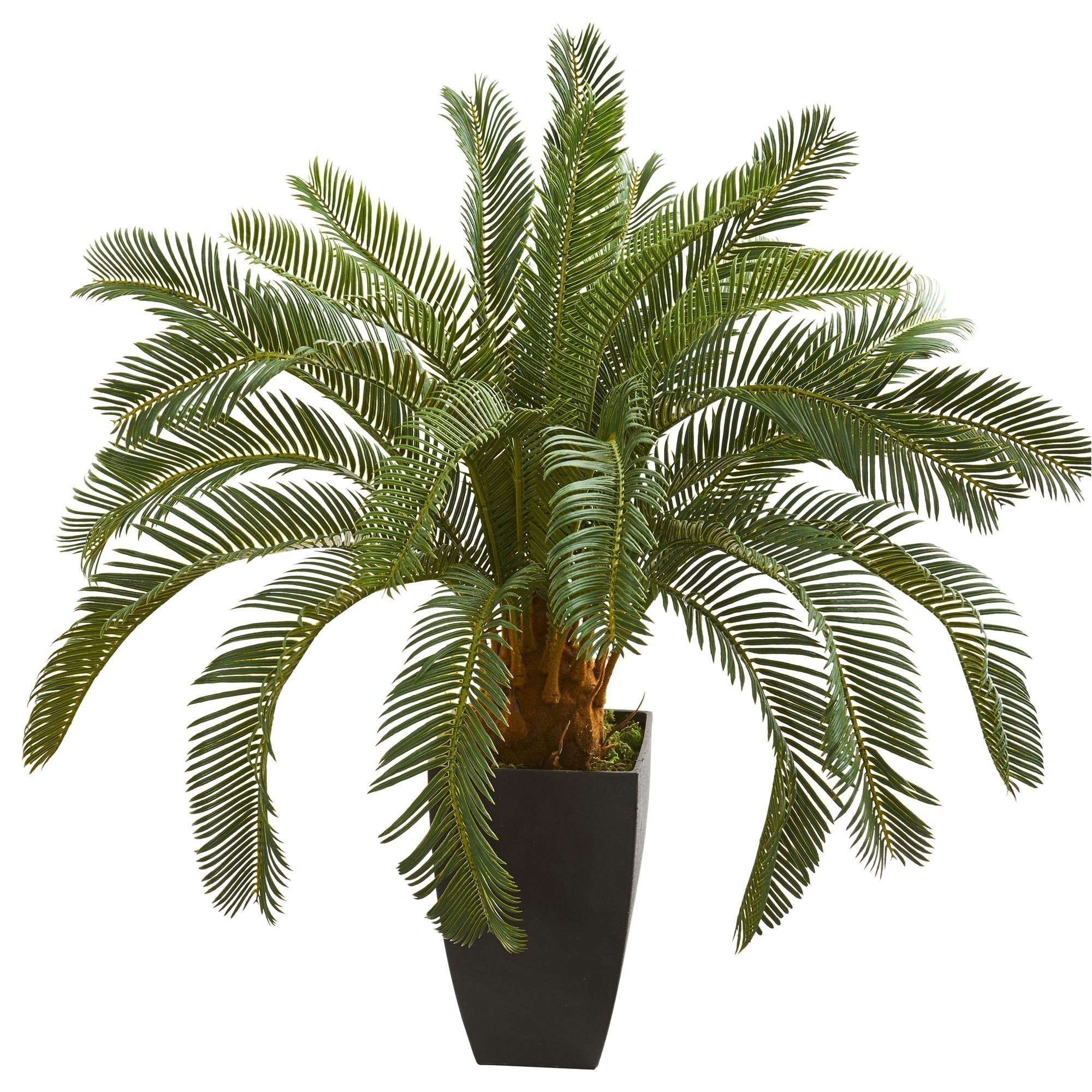 Earthflora > Deco Artificial Cycas Palms > 30” Outdoor Cycas Artificial