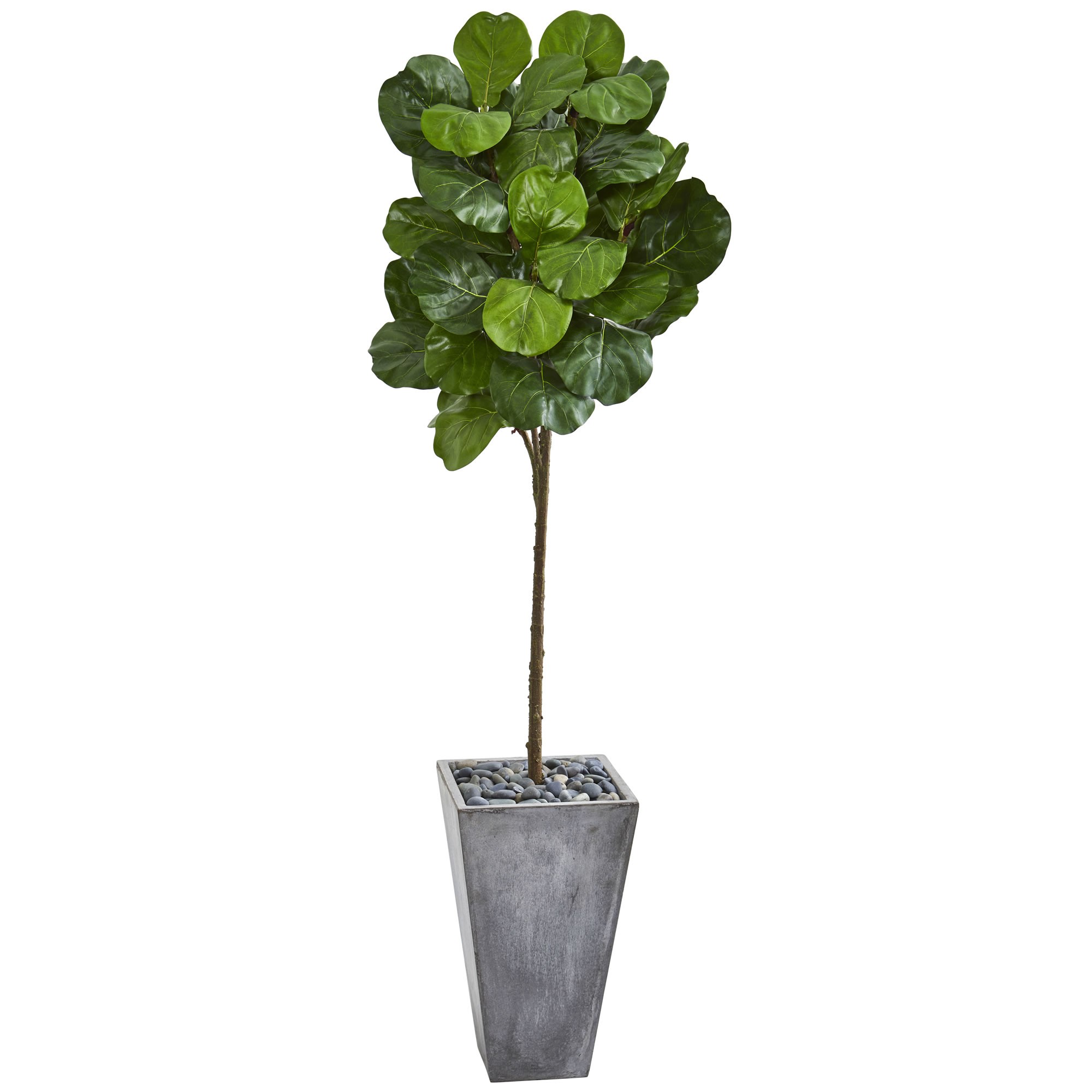 Earthflora > Mediterranean Olive & Fig Artificial Trees > 75" Fiddle