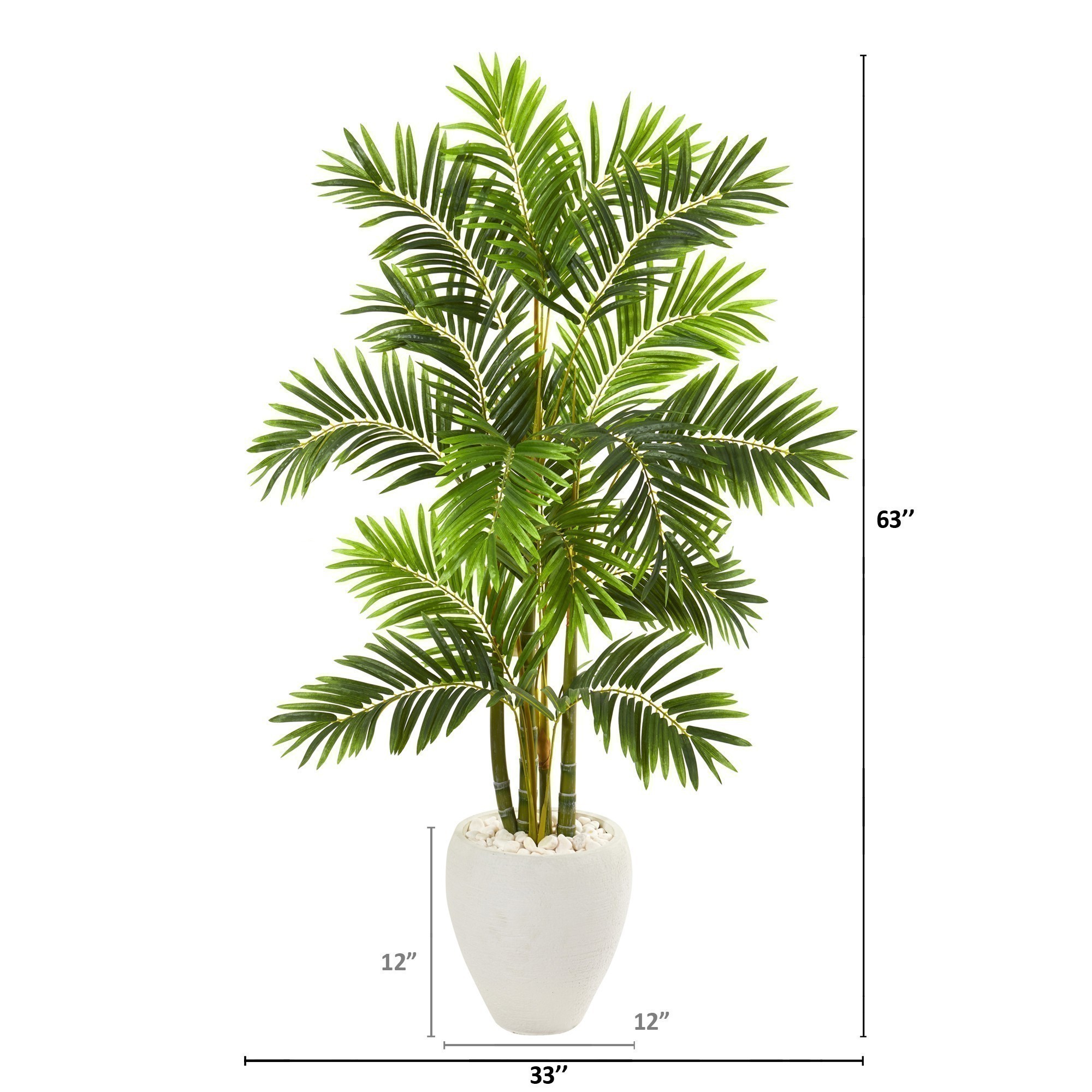 marginata marginata Dracaena marginata 'Green' – Snakeroot Botanicals main image 0