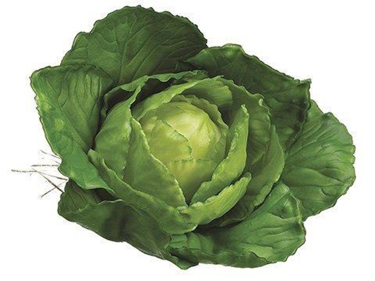 Earthflora > Faux Life Like Vegetable Collection > 4 inches Baby