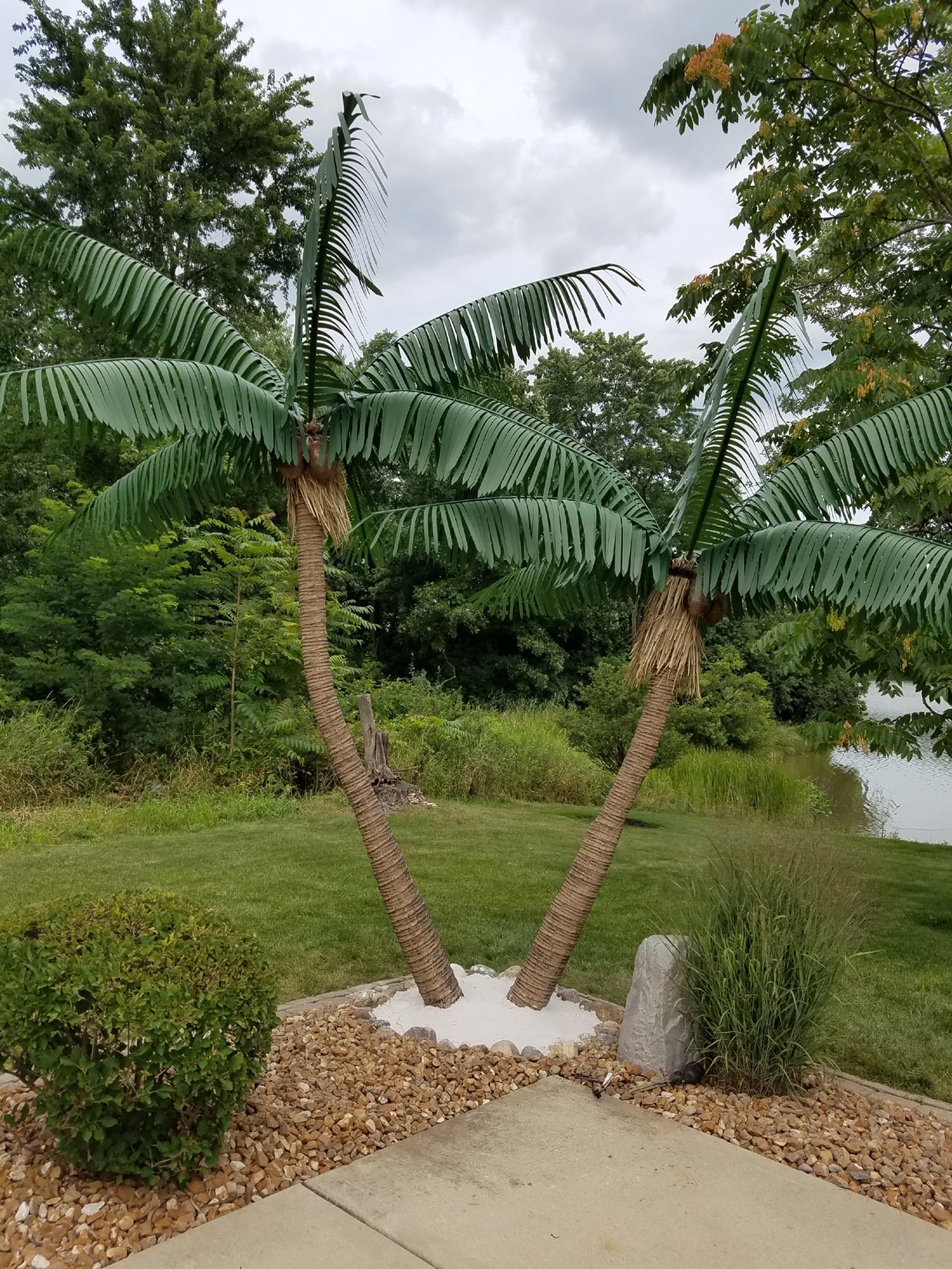 Earthflora Outdoor Tropical Palm Trees Earthfloras Exterior Palm
