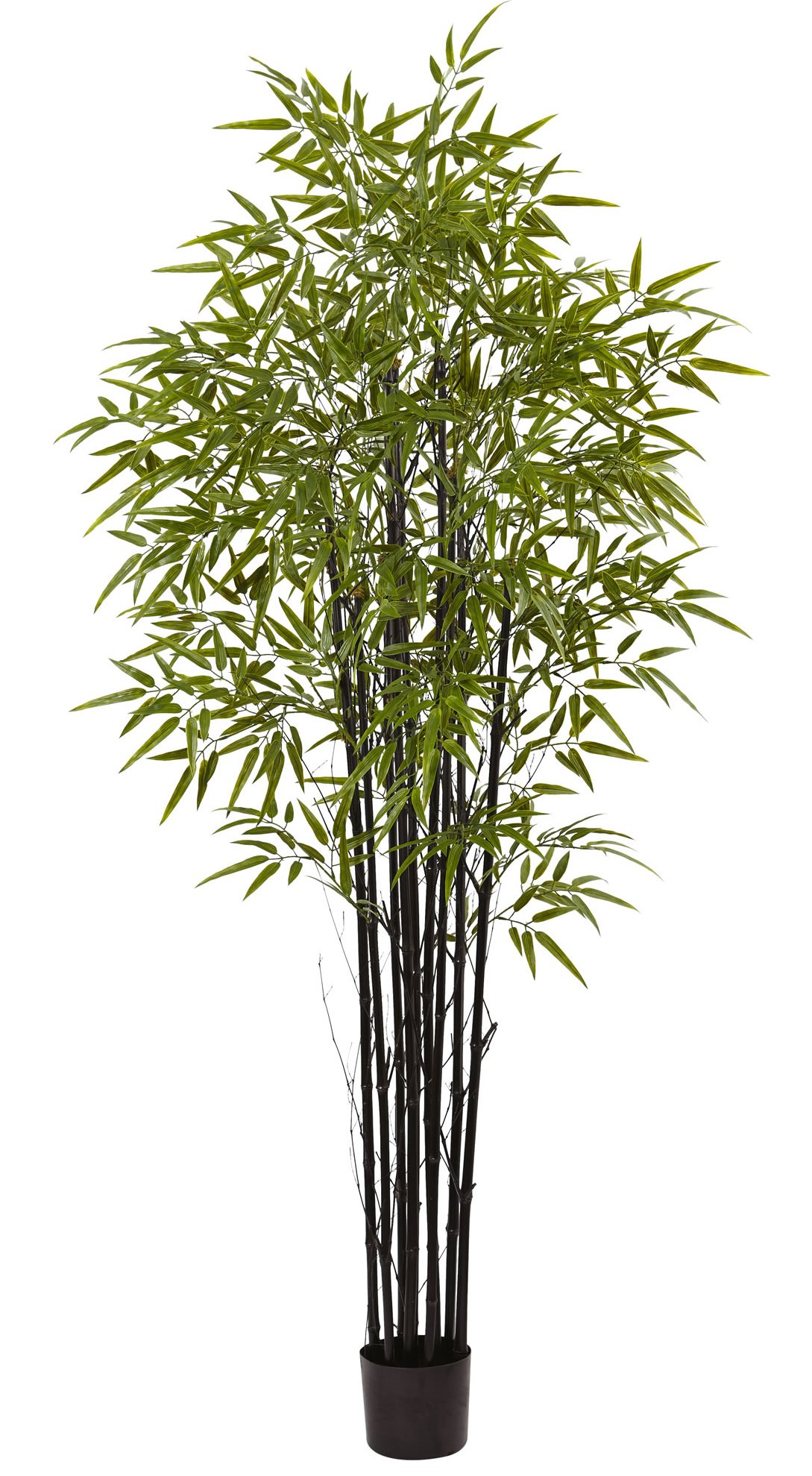 Earthflora > Bamboo Trees > 6' Black Bamboo Tree UV ...