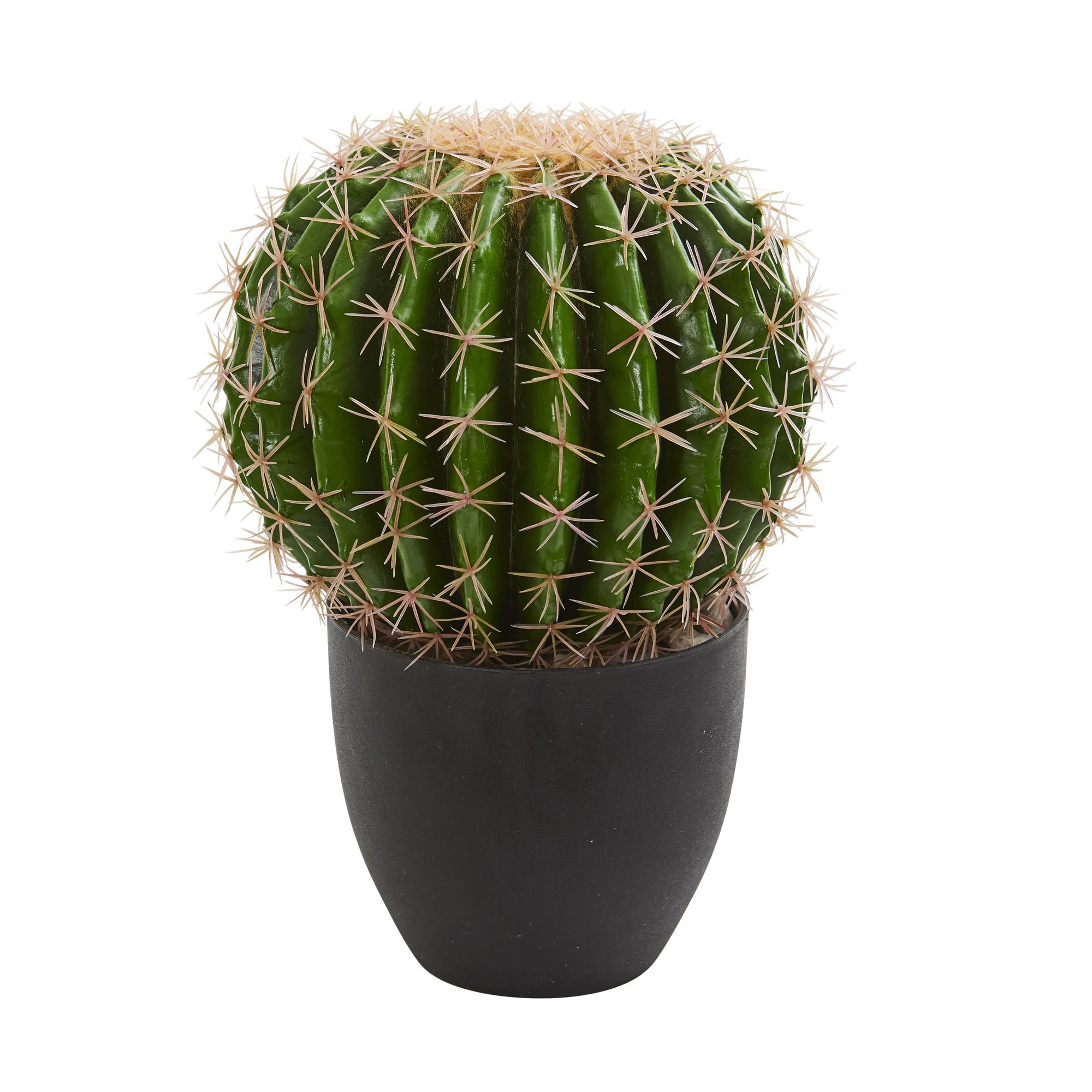 Earthflora Artificial Cactus  Succulent Collection 14 