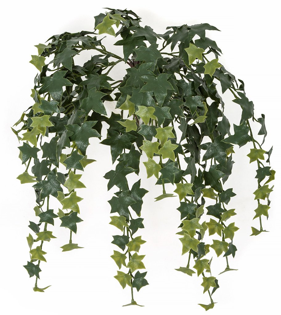 English Ivy Greenery Hanging Bush~Two Tone Green~24" 