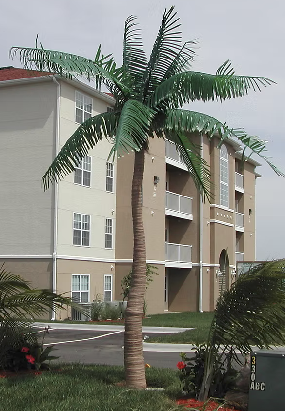 8 Foot to 12 Foot Outdoor UV Rated Commercial Style Caribbean Palm Tree