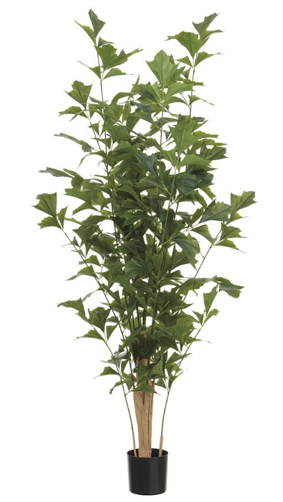 7 Foot Outdoor UV Rated Fishtail Palm Tree in Plastic Pot Green