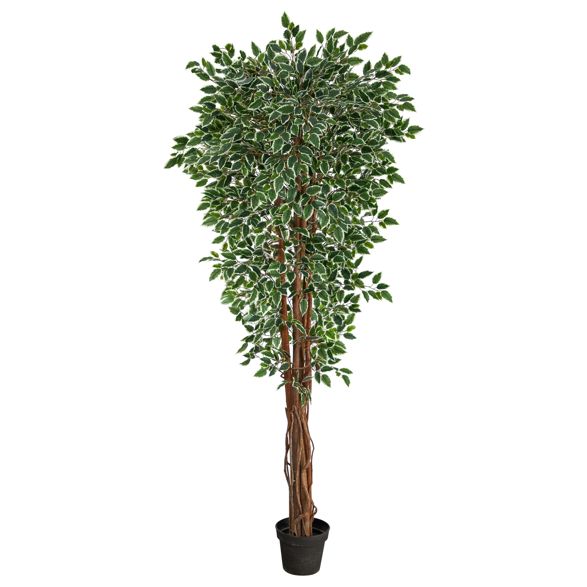 Earthflora > Faux Ficus Trees > 6 Foot ” Variegated Ficus Artificial