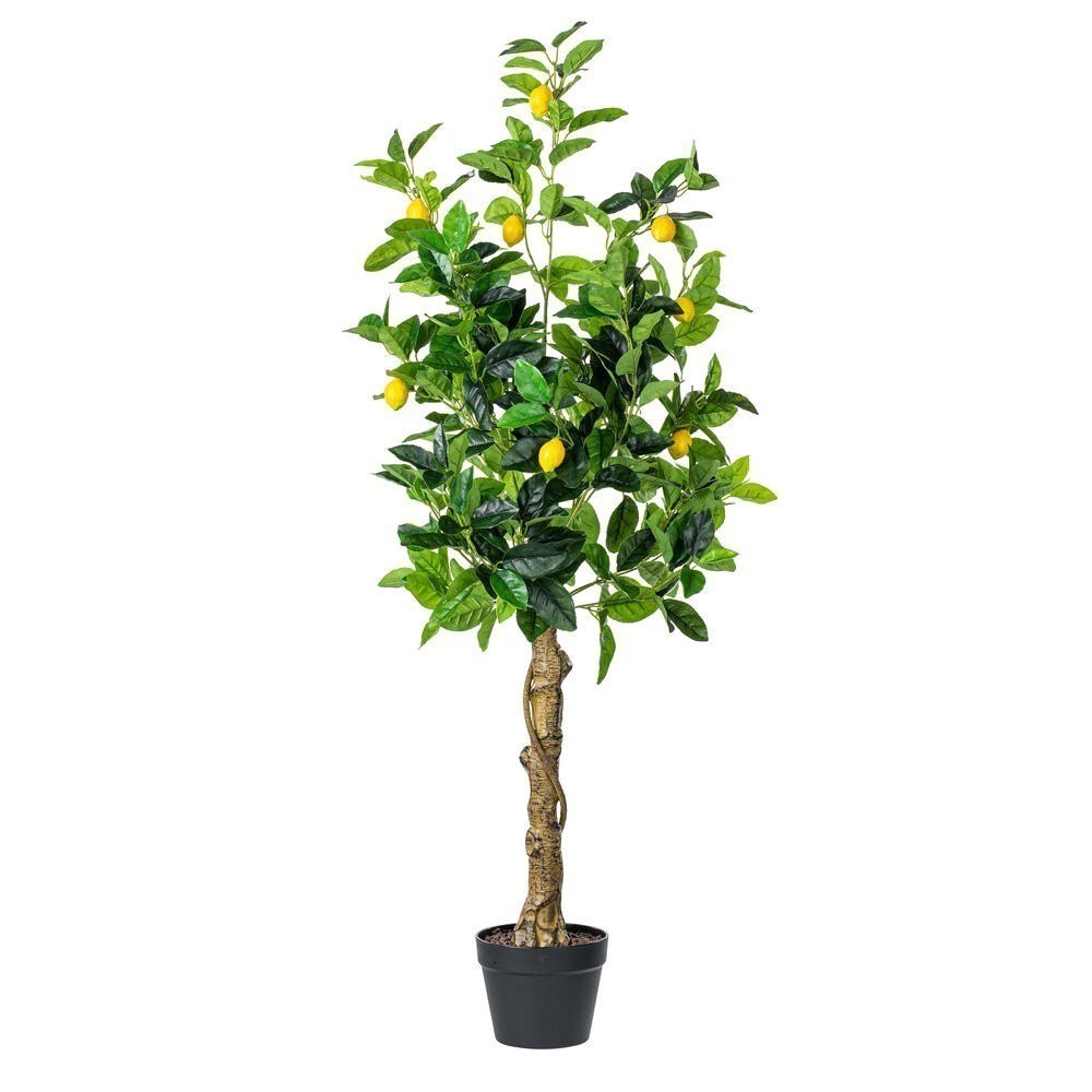 Earthflora > Lavish Artificial Fruit Trees > 51" Real Touch Lemon Tree