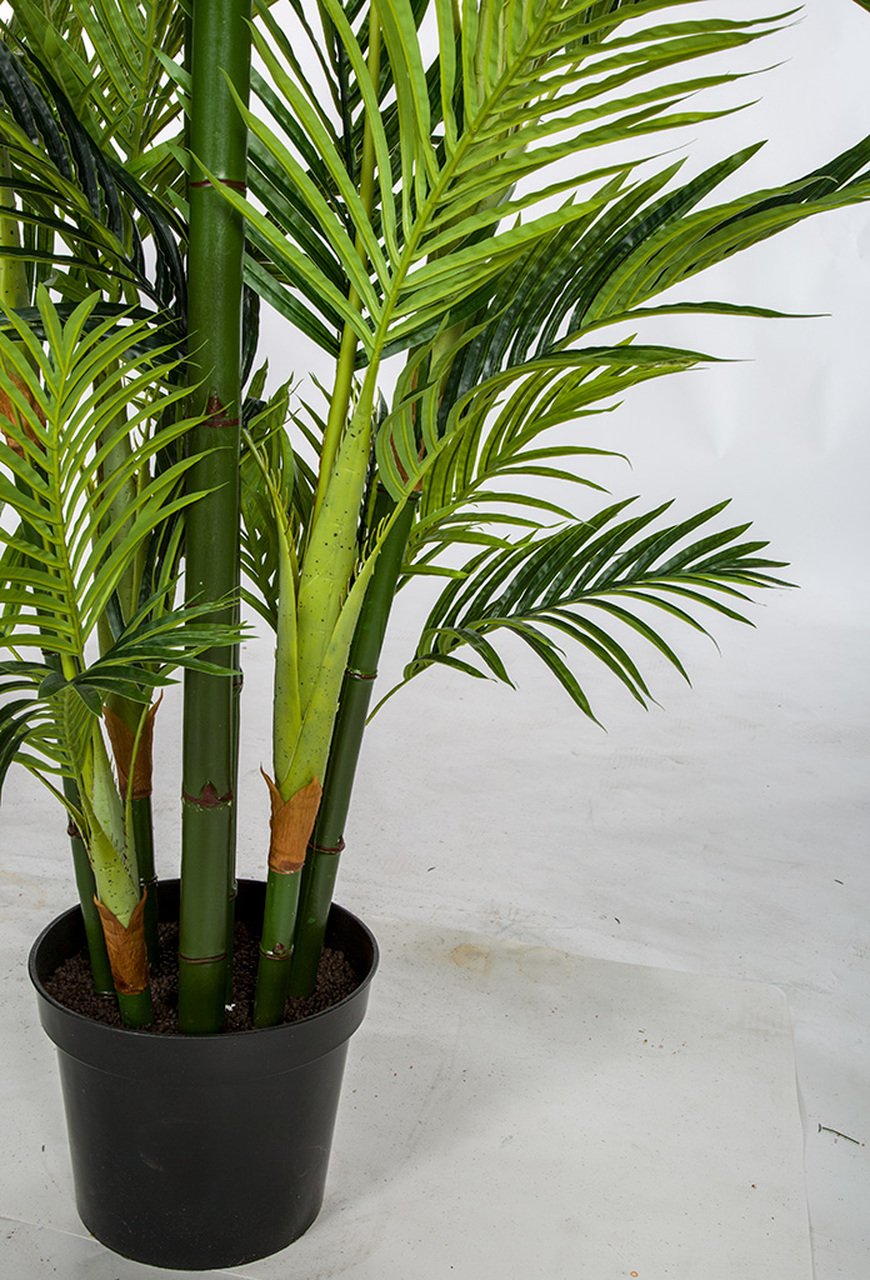 Earthflora > Areca Palms > 8 Foot Natural Touch Majesty