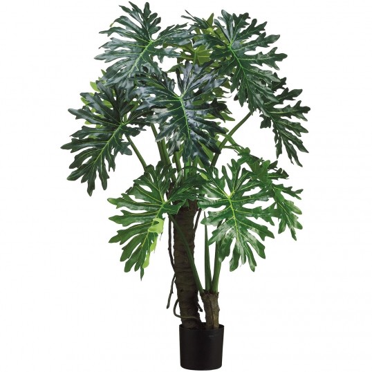 Earthflora > 5 Foot EVA Plume Split Leaf Plant Green