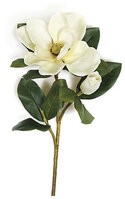 Magnolia Selections