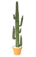 Faux Life Like Plastic Saguaro Cactus