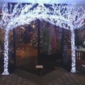 Sparkle Lite LED Crystal Trees and Lighting Decor