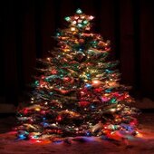 Multi Colored Lighted Christmas Tree