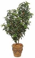 Magnificent OutdoorArtificial  Mountain Laurel Plants 